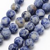 Natural Blue Spot Jasper Round Bead Strands G-D679-4mm-1