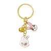 Alloy Enamel Keychain KEYC-JKC01073-4