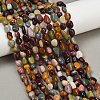Natural Alashan Agate Beads Strands G-Q060-D19-01-1