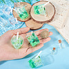 Transparent Resin Big Pendants LS-RESI-TAC0019-04A-5
