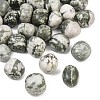 Natural Peace Jade Beads GG-CBAD0F6-B13-01-1