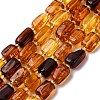 Gradient Color Natural Amber Beads Strands G-F803-D01-02-2