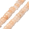 Natural Pink Aventurine Beads Strands G-Q167-B03-01-1