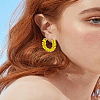 1 Pair Alloy Glass Seed Beads Hoop Earrings EJEW-LP0003-65D-1