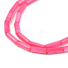 Natural Freshwater Shell Beads Strand SHEL-T017-40B-3