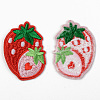 Computerized Embroidery Cloth Iron on/Sew on Patches X-DIY-S040-054-2