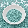 MIYUKI Delica Beads SEED-MY11-DB1567-2