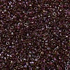 MIYUKI Delica Beads X-SEED-J020-DB1748-2
