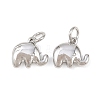Brass Charms KK-G549-08P-1