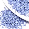 11/0 Grade A Glass Seed Beads SEED-S030-1023-1