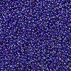 MIYUKI Round Rocailles Beads SEED-G007-RR0484-2