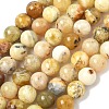 Natural Yellow Opal Beads Strands G-I213-18-10mm-2