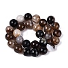 Natural Striped Agate/Banded Agate Beads G-Q606-42B-D01-3