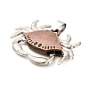 Tibetan Style Alloy Pendants FIND-C081-01B-01-2