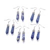Natural Lapis Lazuli Dangle Earrings EJEW-F213-01A-1
