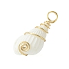 Natural Trumpet Shell Pendants PALLOY-JF02794-01-4