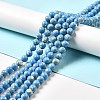 Synthetic Turquoise and Sea Shell Assembled Beads Strands G-D482-01C-04-1