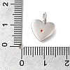 925 Sterling Silver Micro Pave Clear Cubic Zirconia Charms STER-V001-01P-07-3