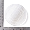 Flat Round Natural Selenite Slice Coasters DJEW-C015-02J-01-3