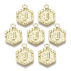 Alloy Pendants PALLOY-N157-003J-NR-1