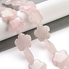Natural Rose Quartz Beads Strands G-F769-X01-02-2