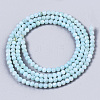 Natural Freshwater Shell Beads Strands X-BSHE-T009-01C-2