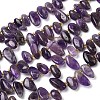 Natural Amethyst Beads Strands G-P604-A16-01-2