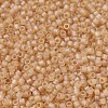 MIYUKI Delica Beads SEED-X0054-DB0852-3
