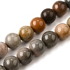 Natural Picture Jasper Beads Strands G-S390-07-10mm-2