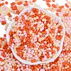 Glass Seed Beads SEED-K010-03N-3