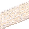 Natural Cultured Freshwater Pearl Beads Strands PEAR-T006-16B-2