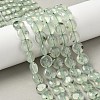 Natural Prehnite Beads Strands G-F790-H03-03-1