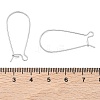 SHEGRACE Brass Kidney Ear Wire XGR0004P-43P-3