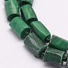 Natural Malachite Beads Strands G-F509-58-3