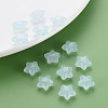 Transparent Acrylic Beads MACR-S373-26E-07-6