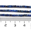 Natural Lapis Lazuli Beads Strands G-H042-B42-01-5