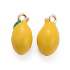 Brass Enamel Charms KK-I649-27-NF-2