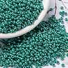 MIYUKI Round Rocailles Beads X-SEED-G008-RR0435-1