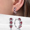 Teardrop Brass Micro Pave Cubic Zirconia Hoop Earrings FS-WG8AD95-04-1