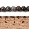 Natural Sodalite Beads Strands G-F591-13B-5