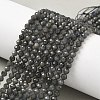 Natural Labradorite Beads Strands G-L622-C03-4mm-1
