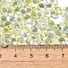 Transparent Baking Paint Glass Seed Beads SEED-P006-02B-09-4