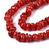 Natural Freshwater Shell Beads Strands X-SHEL-S278-041-3