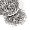 Silver Lined Glass Seed Beads SEED-T007-18A-02-1