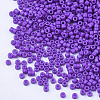 Baking Paint Cylinder Seed Beads SEED-Q036-02A-D08-3