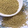 MIYUKI Round Rocailles Beads X-SEED-G007-RR4202-1