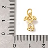 Rack Plating Brass Micro Pave Cubic Zirconia Charms KK-I716-24G-01-3