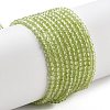 Natural Peridot Beads Strands X-G-B107-A06-01A-1