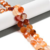 Natural Agate Beads Strands G-H024-A01-01-2