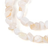 Natural Freshwater Shell Beads Strands SHEL-N038-06A-3